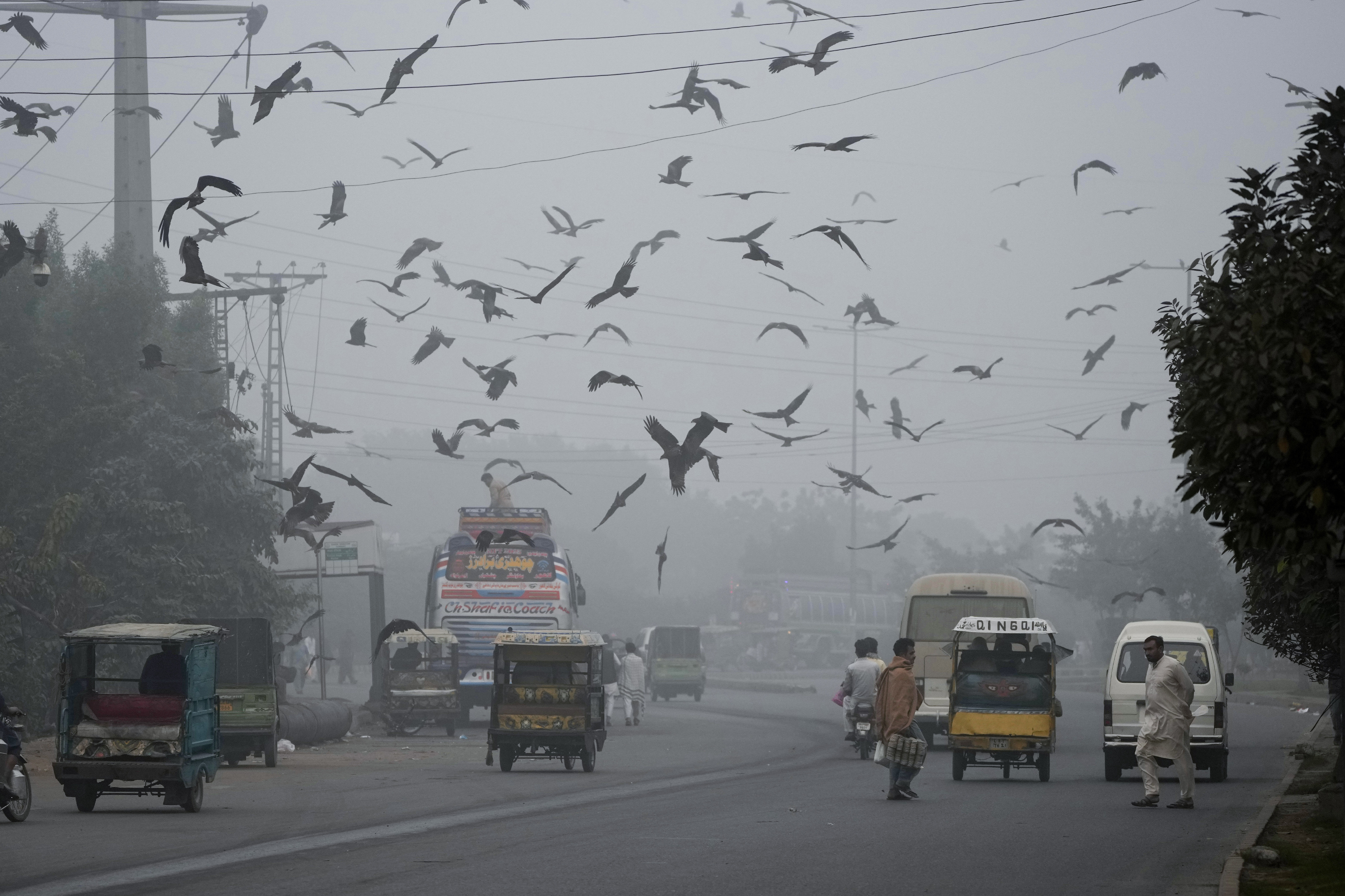 Pakistani Province Declares Health Emergency Due To Smog And Locks Down