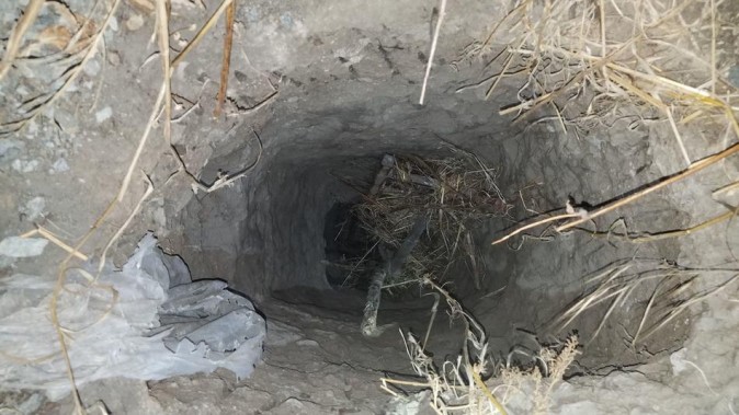 23 Chinese nationals, 7 Mexican nationals detained After New US-Mexico Border Tunnel Found