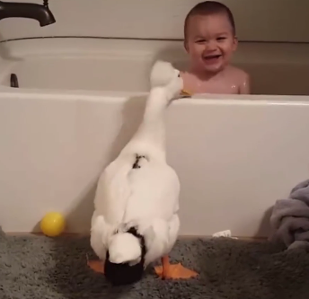 Duck and boy, like two peas in the same pod