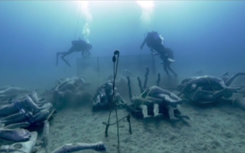 Europe’s first underwater museum officially opens off Canary Islands