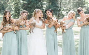 Bridesmaids carry rescued pups instead of flowers, thus adding a beautiful yet compassionate cause to the wedding!