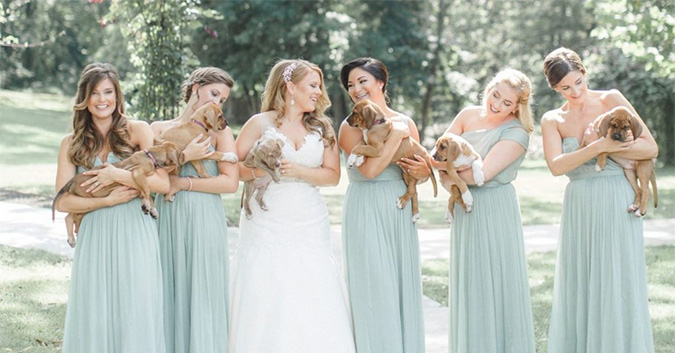 Bridesmaids carry rescued pups instead of flowers, thus adding a beautiful yet compassionate cause to the wedding!
