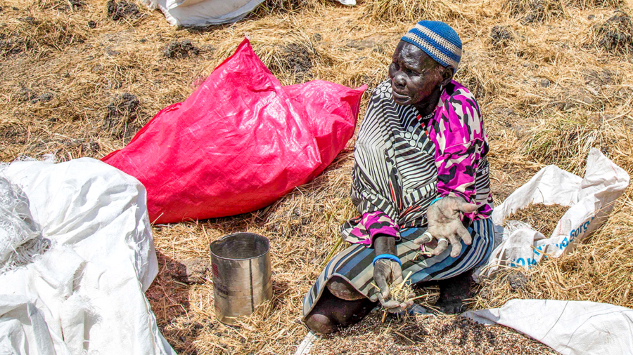 ICRC airdropped emergency food to starving South Sudanese