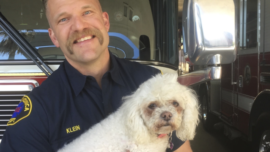 Firefighters revive unconscious dog after 20 minutes of resuscitation