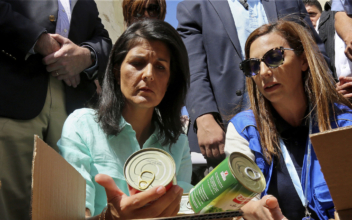 UN Ambassador Haley wants some Syria aid to go to nations hosting refugees