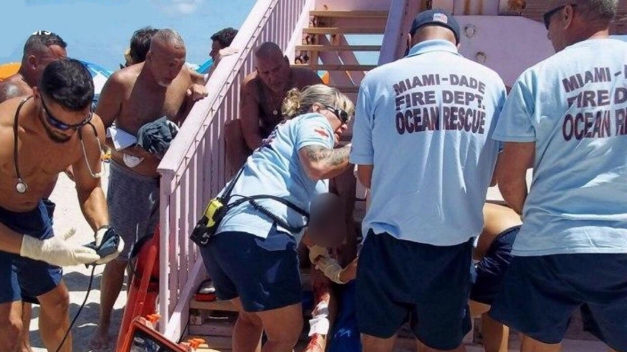 Shark bites Florida man on both legs, first unprovoked attack in decades