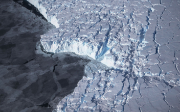 Larsen C ice shelf break in Antarctica not an indicator of climate change