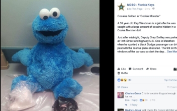 Florida man arrested after cocaine found in Cookie Monster doll