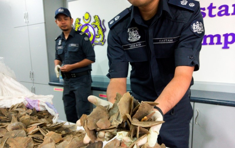 Malaysia seizes nearly $1 million in trafficked wildlife at airport