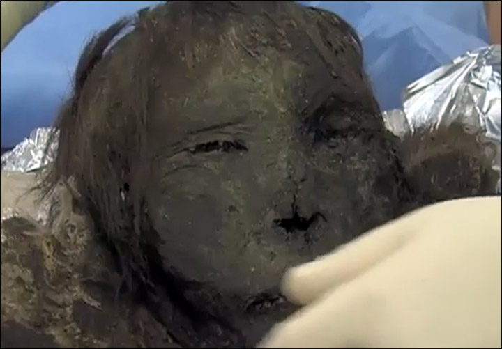 Woman’s Mummified Head Found in Near-Arctic Cemetery