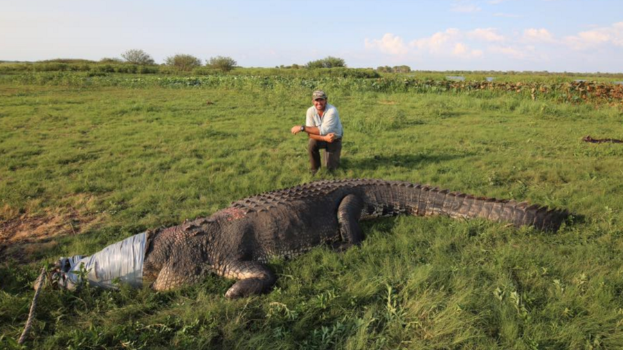 Australian Man Catches Monster Croc, Stirs Controversy on Social Media