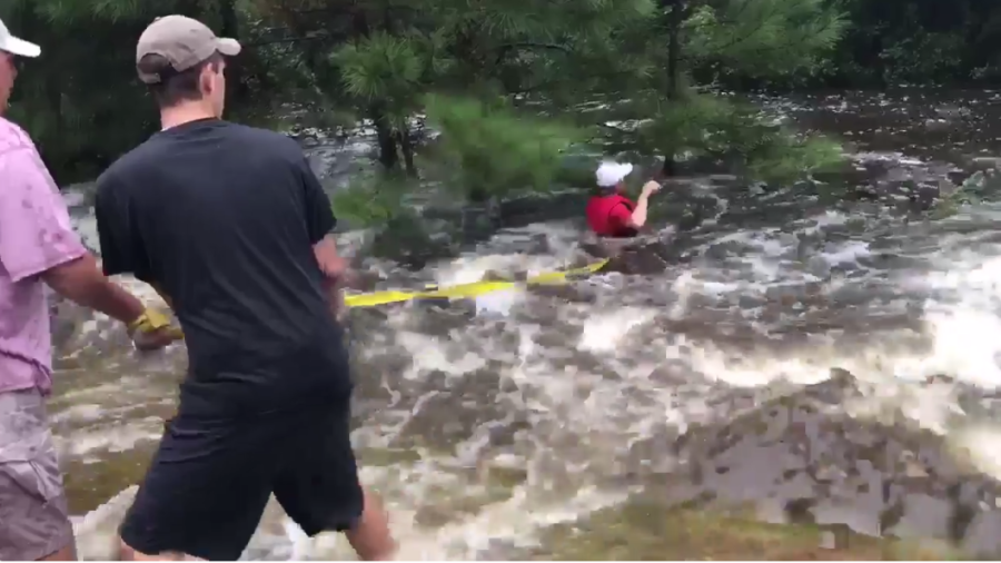 Watch: Viral Video Shows Group Rescuing Texas Dog Stuck in Rushing Floodwaters