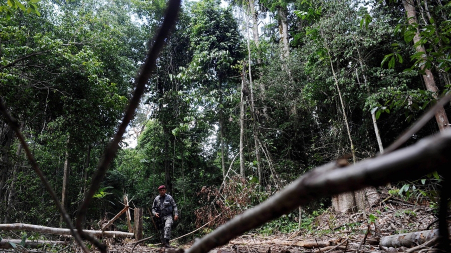 ‘Uncontacted’ Amazon Tribe Runs Into Illegal Miners, Massacre Follows