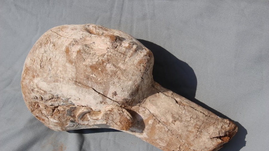Uncovered 4,000-Year-Old Wooden Head May Be of Egypt’s Queen Ankhnespepy II