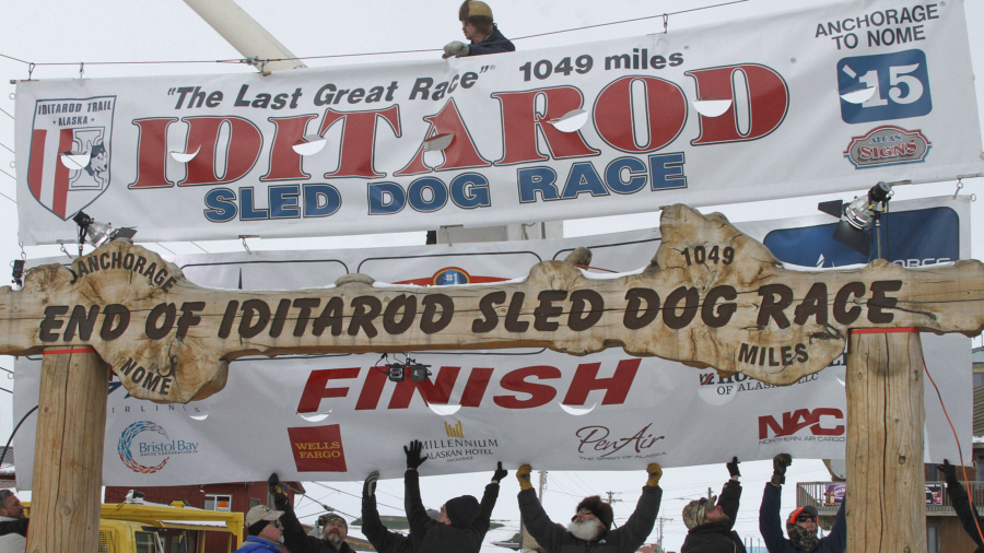 Dogs Test Positive for Drugs in Iditarod Race for 1st Time