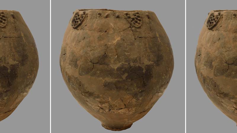 Talk About Vintage: Pottery Shards Show 8,000-Year-Old Wine