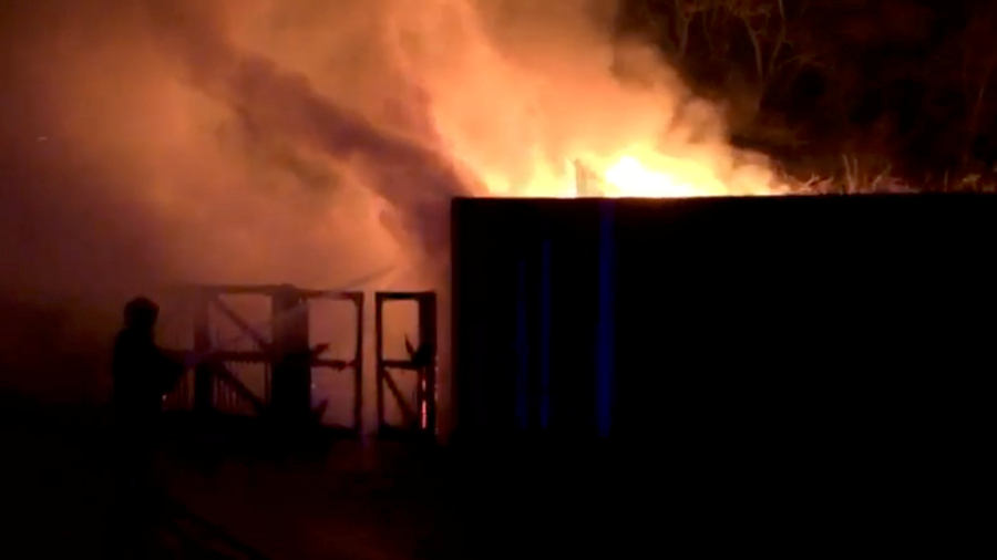 More Than 70 Firefighters Tackle Blaze at London Zoo