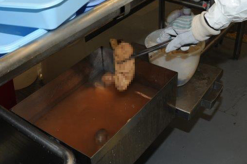 In this photograph obtained by Reuters, a government worker in a hazmat suit uses forceps to lift a fetus found during a 2013 search of a Detroit warehouse operated by Arthur Rathburn, a businessman who sold human body parts for medical research and education. (Government photo via REUTERS)