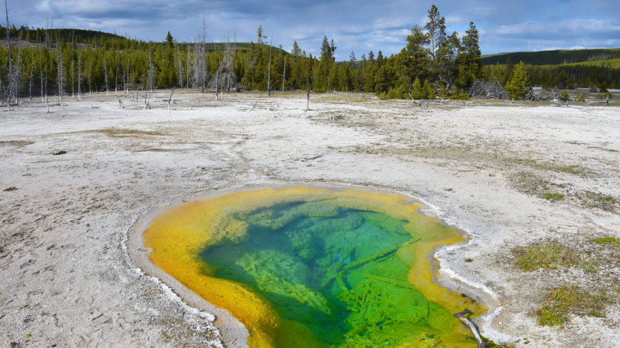 Scientists Detect 200 Earthquakes in 10 Days at Yellowstone Supervolcano as Magma Shows ‘Strain’