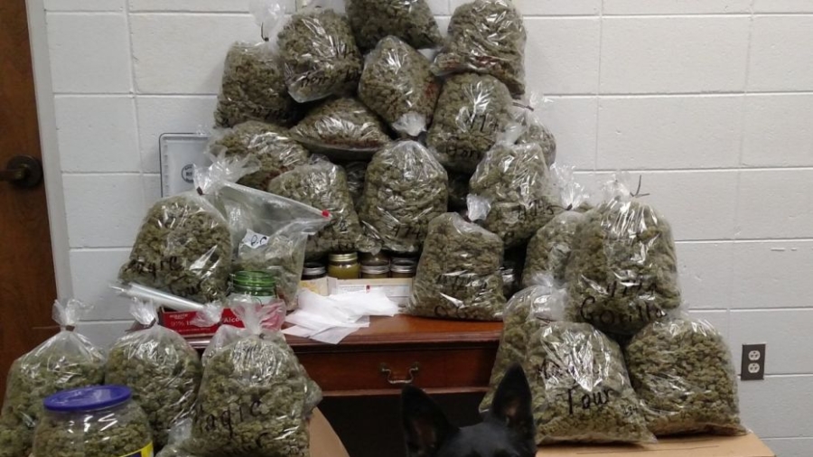 Elderly Couple Arrested With 60 Pounds of Pot ‘Christmas Presents’ ID’d as Parents of Top Prosecutor