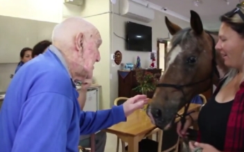 Elderly Get Pleasant Surprise as Horse Visits Them in Retirement Home