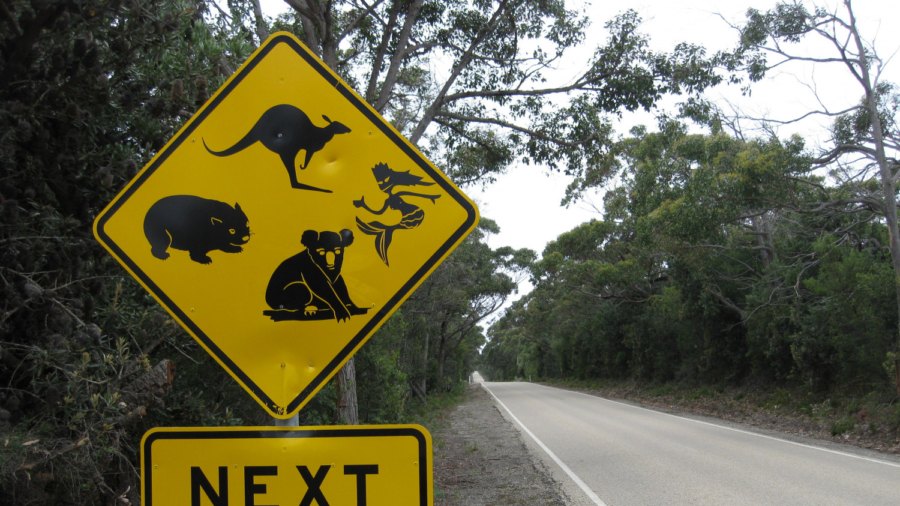 Multilingual Road Signs for Tourists in WA