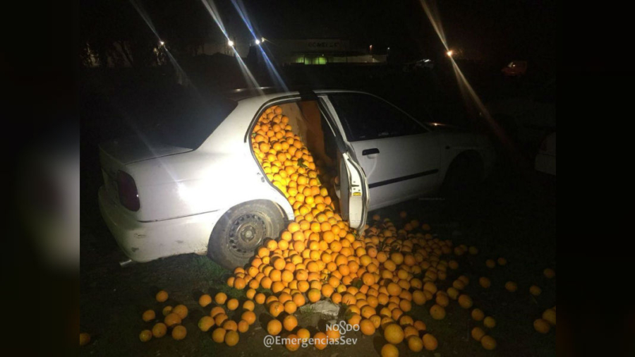 Police in Spain Recover Over 8,000 Pounds of Stolen Oranges from 3 Vehicles