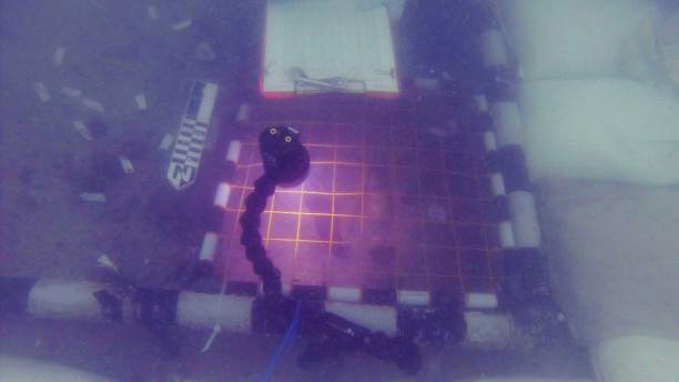 An archaeologist uses a grid to map a section of the site. (Ivor Mollema/Florida Department of State)