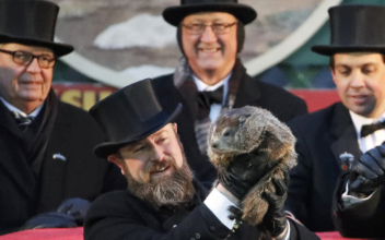 Here Is When This Winter Will End, According to Handlers of Punxsutawney Phil