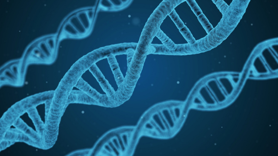 DNA Nanorobots Successfully Target and Kill Cancer
