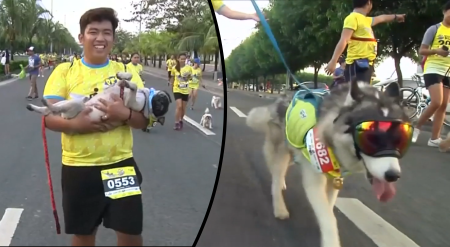 Hundreds of Dogs and Owners Take Part in a Fun Run in Manila
