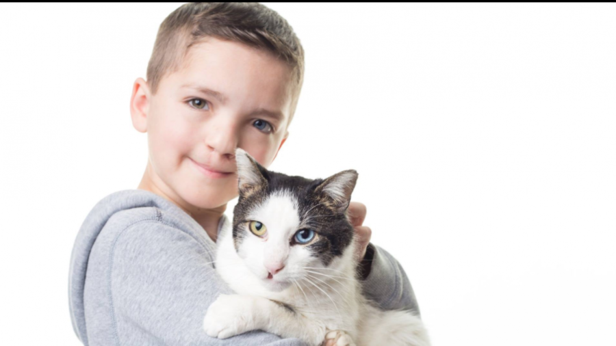 Bullied Oklahoma Boy Adopts Cat With Same Rare Eye Condition, Cleft Lip