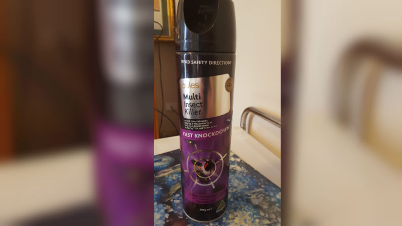 Man Tries to Kill Cockroaches With Ignited Insect Spray, It Didn’t Work Out