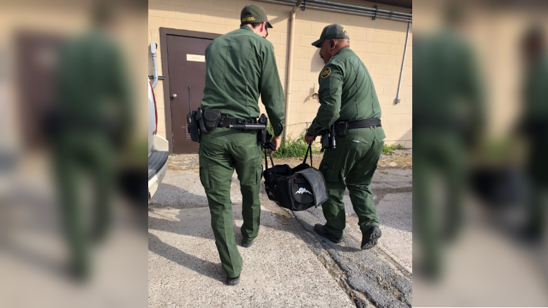 Border Patrol Agents Make Unexpected Find in Duffel Bag After Immigrants Tried Entering US Illegally