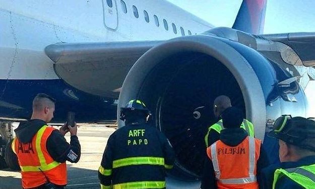 Delta Flight Forced to Make Emergency Landing After Hitting a Bird