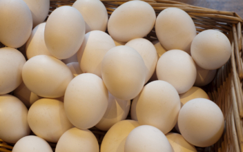 An Egg a Day May Be Fine for You After All, New Study Says