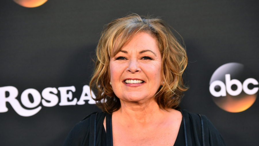 Roseanne Barr Trashes ABC in Return to Stand-Up Comedy
