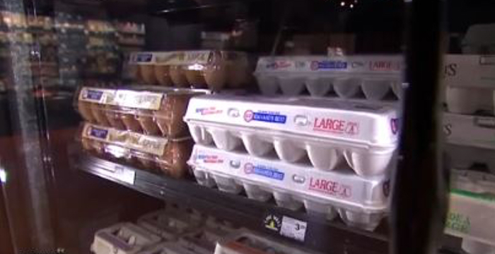 Salmonella Outbreak That Prompted Huge Egg Recall Sickens More People
