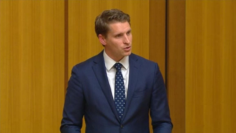 NEG Would Undermine Australia’s ‘Economic Sovereignty,’ Liberal MP Says