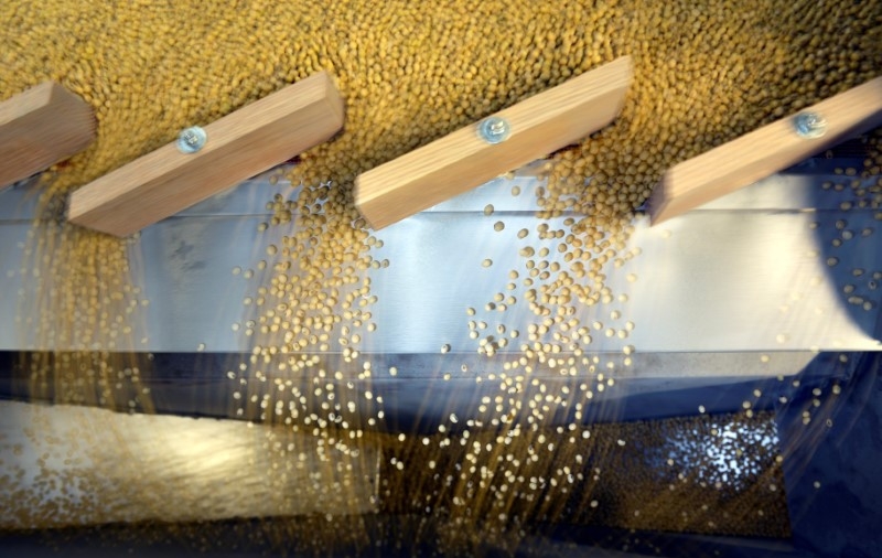 China Buys US Soybeans for First Time Since June
