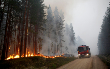 Severe Forest Fires Raging Across Drought-Stricken Sweden