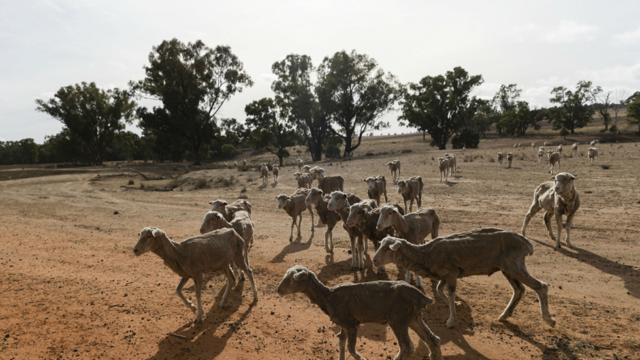 NSW Government Announces Extra $500M for Drought Relief
