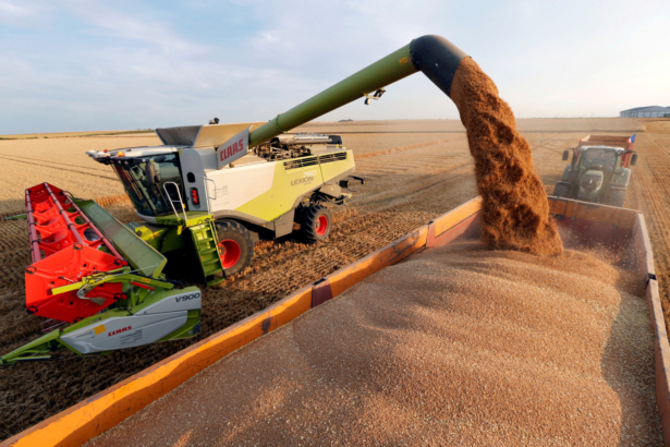 A French farmer harvests wheat during sunset, in Bourlon, northern France on July 19, 2018. (Reuters/Pascal Rossignol)