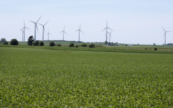 China Still Depends on US Soybeans