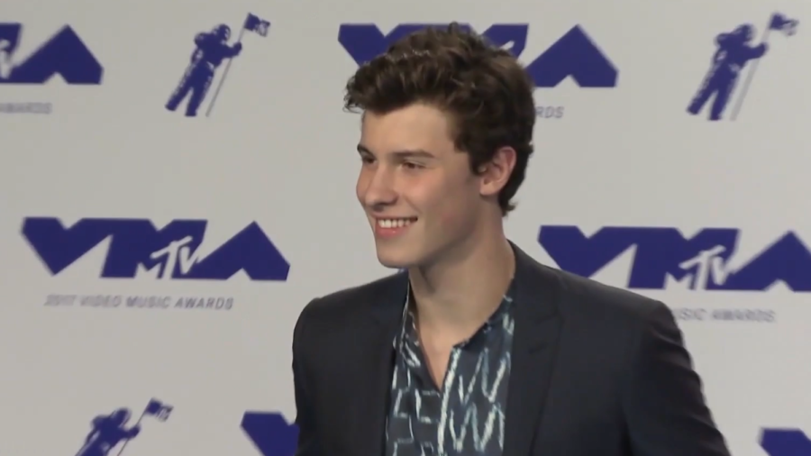 Singer Shawn Mendes Releases 3 Albums and 4 No. 1 Songs by Age 20