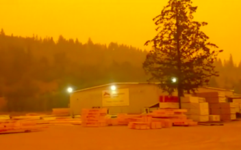 Large Parts of Canada Engulfed by Haze, More Than 560 Wildfires in British Columbia