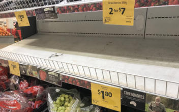 Australia Strawberry Industry in Crisis; Police Say Needle Culprits Face Jail