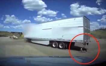 Sheriff Aide’s Quick Thinking Saves Dog Tied to Moving Semi