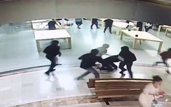 17 People Charged for Robbing $1 Million in Products From Apple Stores