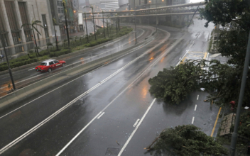 Super Typhoon Wrecks Buildings, Trees in Hong Kong
